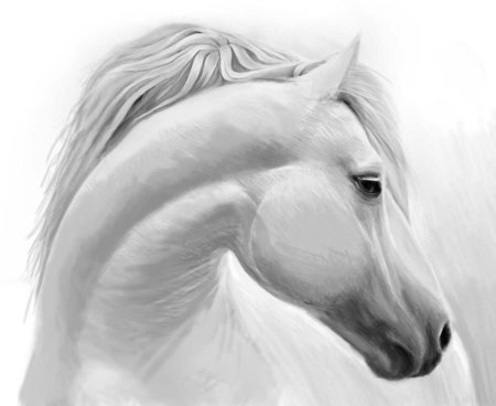 Лошадь рисунок карандашом