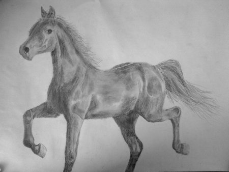 Лошадь рисунок карандашом