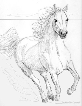 Лошадь рисунок