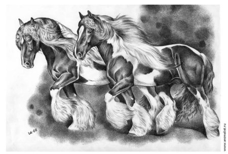 Лошадь цветными карандашами