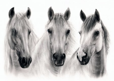 Лошадь рисунок карандашом