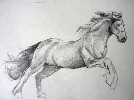 Лошадь рисунок карандашом