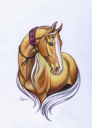 Лошадь рисунок карандашом