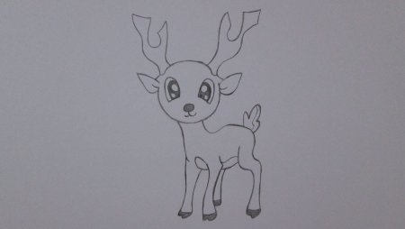 Оленёнок для срисовки