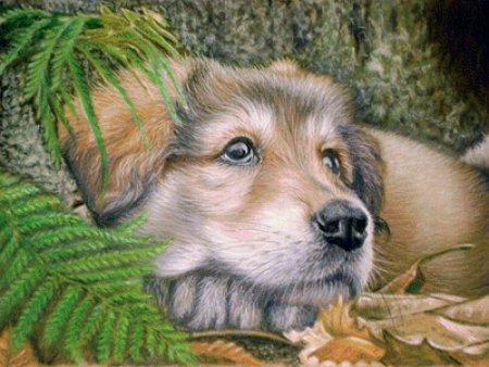 Животные пастелью