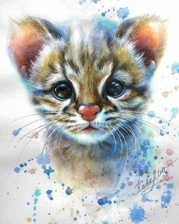 Акварельные кошки