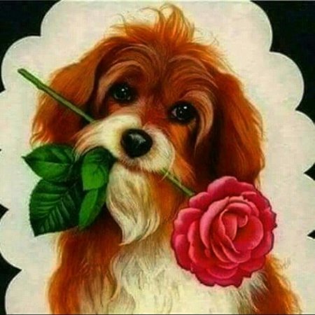 Собачка с розой