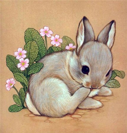 Милые иллюстрации животных