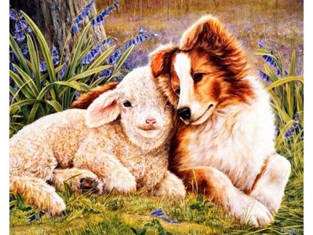 Shirley Deaville картины