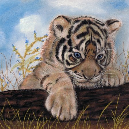 Тигренок цветными карандашами