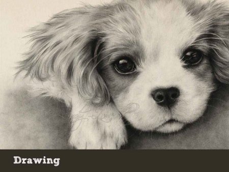 Милые рисунки