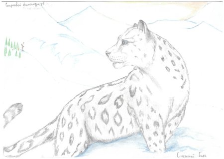 Нарисовать снежного Барса