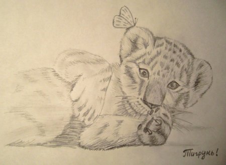 Львица тату эскиз