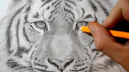 Поэтапное рисование кролика