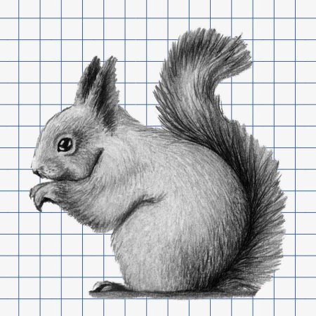 Пантера рисунок карандашом