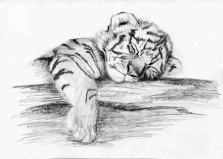 Картинки для срисовки карандашом животные