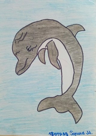 Рисунки очень легкие и красивые