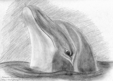Рисунки на разные темы карандашом