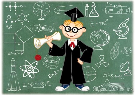 Теория поля Курта Левина (1890-1947).