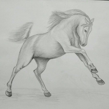 Лошадь карандашом