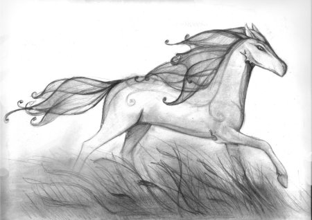 Рисунки лошадей простым карандашом
