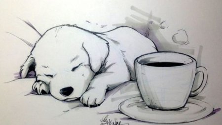 Милый рисунок карандашом