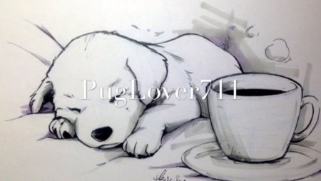 Рисунок дельфина