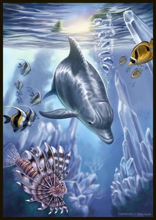 Картины подводного мира