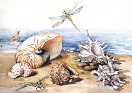 Морская тематика акварель