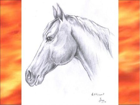 Картинки карандашом животные