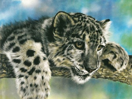 Рисунки для срисовки животные