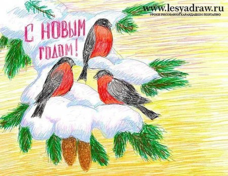 Снегирь рисунок карандашом