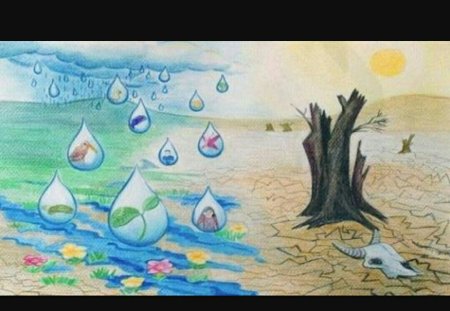 Вода источник жизни