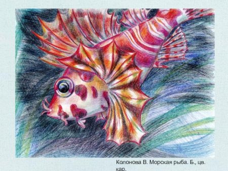Рыбка цветными карандашами