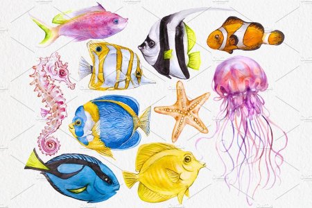 Рисование морские обитатели