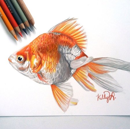Рыбы цветными карандашами