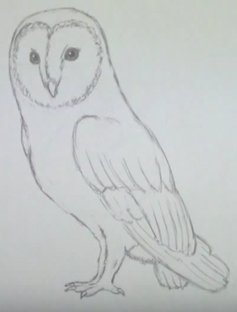 Рисунки карандашом для начинающих