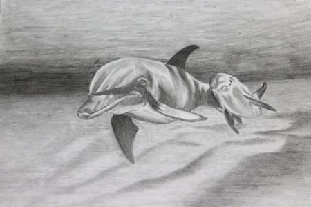 Рисование на свободную тему