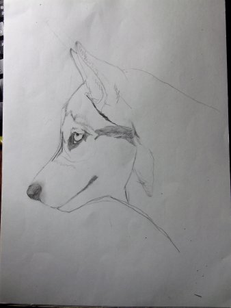 Рисунок на свободную тему легкий