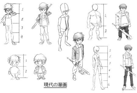 Пропорции аниме персонажей