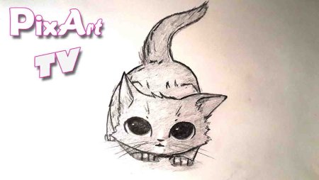 Рисунки животных для срисовки для начинающих для девочек легкие