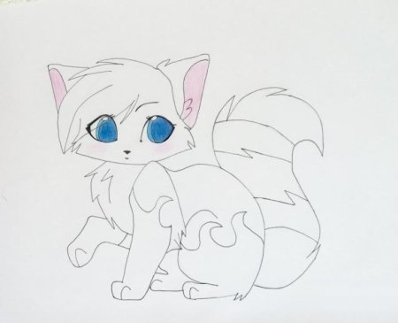 Рисунки котика легко