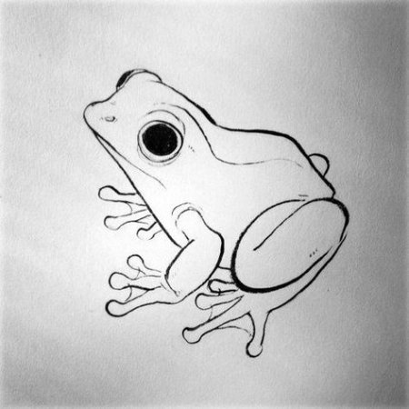 Лягушка рисунок