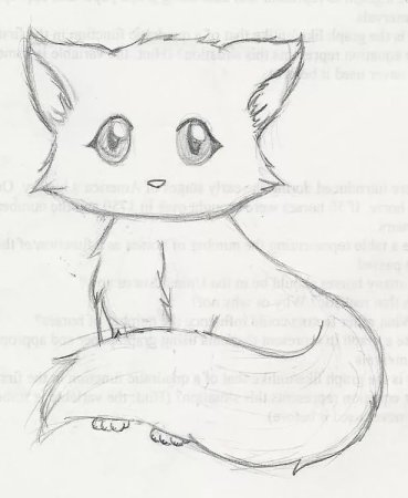 Котики для срисовки легкие и милые карандашом