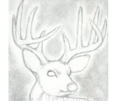 Рисунки для нового года для срисовки