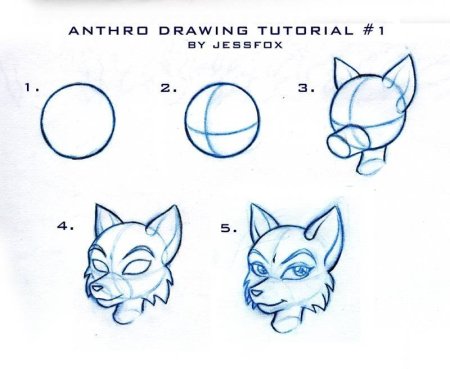 Мышь туториал