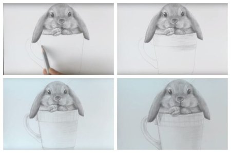 Рисунок зайчика карандашом для срисовки