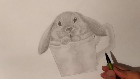 Пошаговое рисование зайки