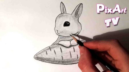 Рисунок зайчика карандашом для срисовки
