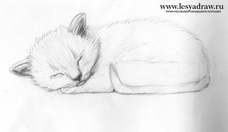 Лёгкие рисунки котят